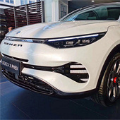 ���������ʶ����˧