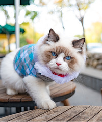 è�侹ȻҲ���ڻ�����д��