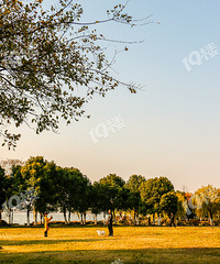 ��ҵ����＾��Ȼ��ô�� �����Ŀ�������