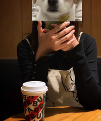 �����ʽ���NO.37��93��ҵ��λMM ������Ӱ �決