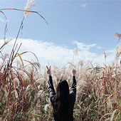 ������«έ���ճ�����