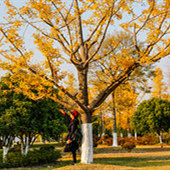 ������ ��Ҳ�ǻ�����