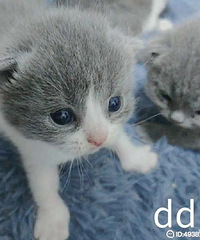 ������  ������