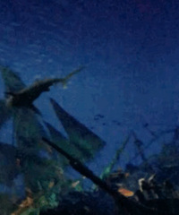 ͯ�����ɣ����ʺ������������ĵ�ʿ�����Ǻ���