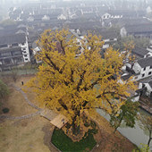 ���Ӽ�̫����