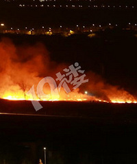 ��ҹ�f����Ա� ������Ϊ���������...