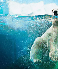 ���մ�٣��Ϻ������ػ���Ϯ��ֻҪ199Ԫ������21.22���������ޣ�