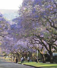 �����������е��������̫���ˣ�