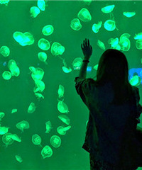 91��MM����Ѹ����ɺã�