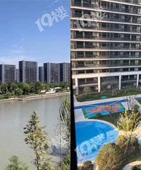 �̳������̷���ڽ����� ������ÿ�����