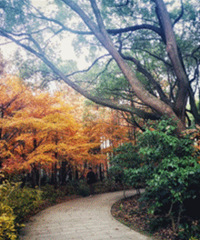 ħ����ɭ�ֹ�԰������ ���ʺ�Ұ��