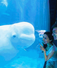 ����������?���������Ӯ���ⵥ��