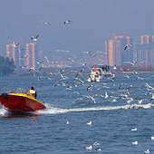 ����˪�쾺����