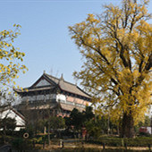 ��ǧ����������ʱ��