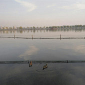 ���űߵ�һ�Ժ�ԧ��