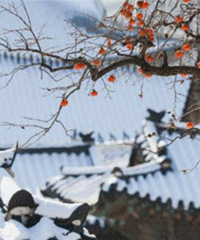 2020�괺�ڣ�����һ��ȼ�ȥ