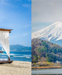 2020�괺�ڼ��ڳ����ƻ���ϼ�����ӭԤ��