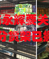 ��ʳ��������5�ۣ���������ʮ�����ɿ���