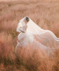 ����ݷ����� һ��Ҫ�ĵľ�