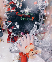 ��������ѻؼҹ��꣬6��6����