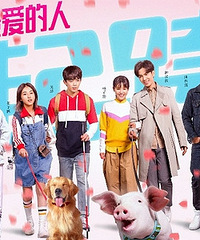 ���С�ܼҳ�ۼƻ� �����ӰƱ�����