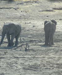 ��������36�� ��ҲҪȥ���ԭ������