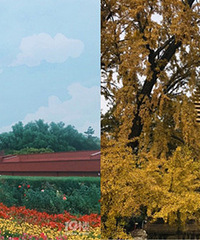 ����3Сʱ ��ת�ʹ������ǡ��ú�԰