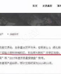 �Ƽ���ĳ���������������ҵ������ʵ��Сѧ��������