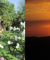 �ϷǵĶ�������������������������