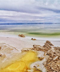 �ɿ�����׷������ �������ʵ����