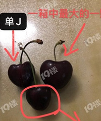 �����ˣ�������ͼ�Ĳ��� �˻���һ����