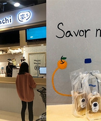 ���� ζ��������