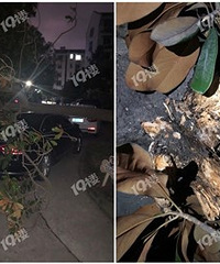 ��ù��������С���ﱻ���ҵ� ��ҵ����ȥ����