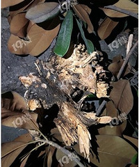 ������С���ﱻ���ҵ� ��ҵ����ȥ����