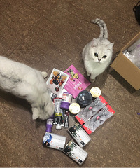 ÿ��ؼҾ���������С�һ�ӭ���� ʲô�����鶼û����