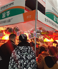 ũչ��ȫ�������� �����o��ֻ209��