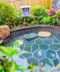 ���˱�������Ȫ�����˫����Ʊ�����