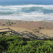 ��̲�ߵ�ľ�ƽ���