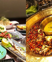 ����Կ��⡢�����ȫû�еֿ���