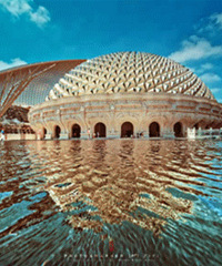 ���ڡ��Ͼ���������ţ��ɽ �󱨶���