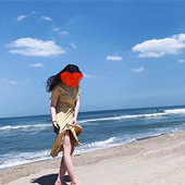 ӡ�Ƚ��γ���߳���