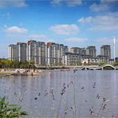 ���϶��ַ�����ôѡ��