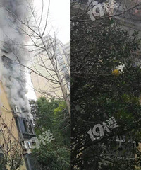 �Ŵﶫ��ͻ����𣡴���ճ����� �ֳ�Ũ�̹���