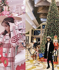 ���ο�������ֹ��괩����