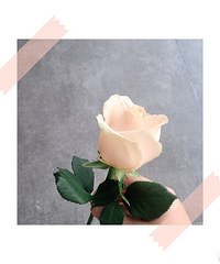 27���������MM ϣ����172���� �����Ȥ�ı���GG