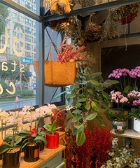 �и������յ�С���� �ַ����ĳ�180