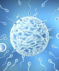 ��Ҫһ���������� ��ֱ���¡����в�����