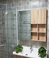 ��ɫ���������� ������ģ�