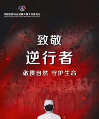 ������ϵ����������