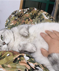 �Ա���ů�����¶� ���ҿ��׹����������